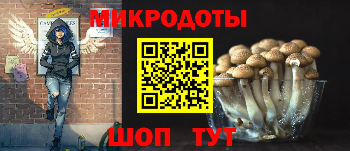 Минусинск  Галлюциногенные грибы Cubensis  Вход с VPN 